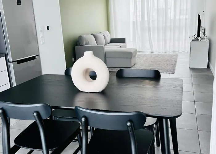 St-martin-du-touch Et Colomiers Appartement